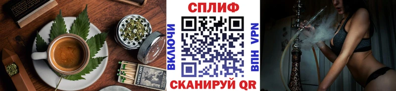 Canna-Cookies марихуана  сколько стоит  MEGA зеркало  Ардатов 