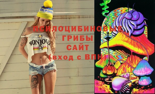 spice Новочеркасск